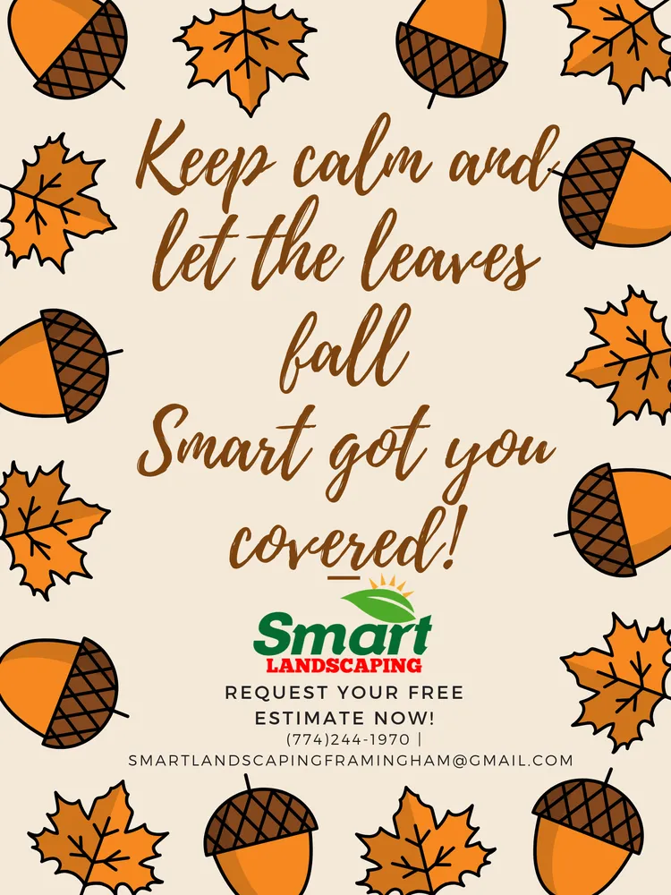 Local yard maintenance experts serving Framingham, MA - Smart Landscaping