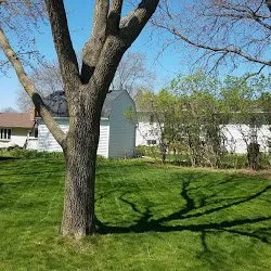 Affordable lawn mowing service experts serving McFarland, WI - Smart Landscaping