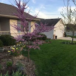 Affordable yard cleanup service near you across McFarland, WI - Smart Landscaping