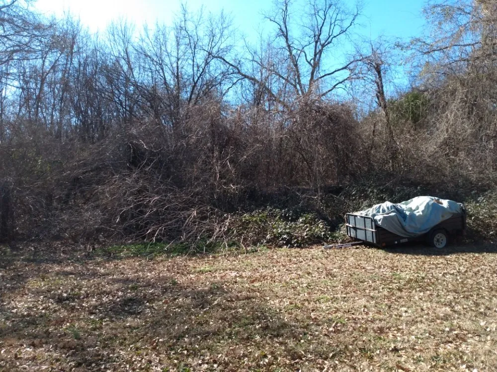 Top-rated landscaping services experts serving Covington, GA - Smart Lawn and Landscape Solutions