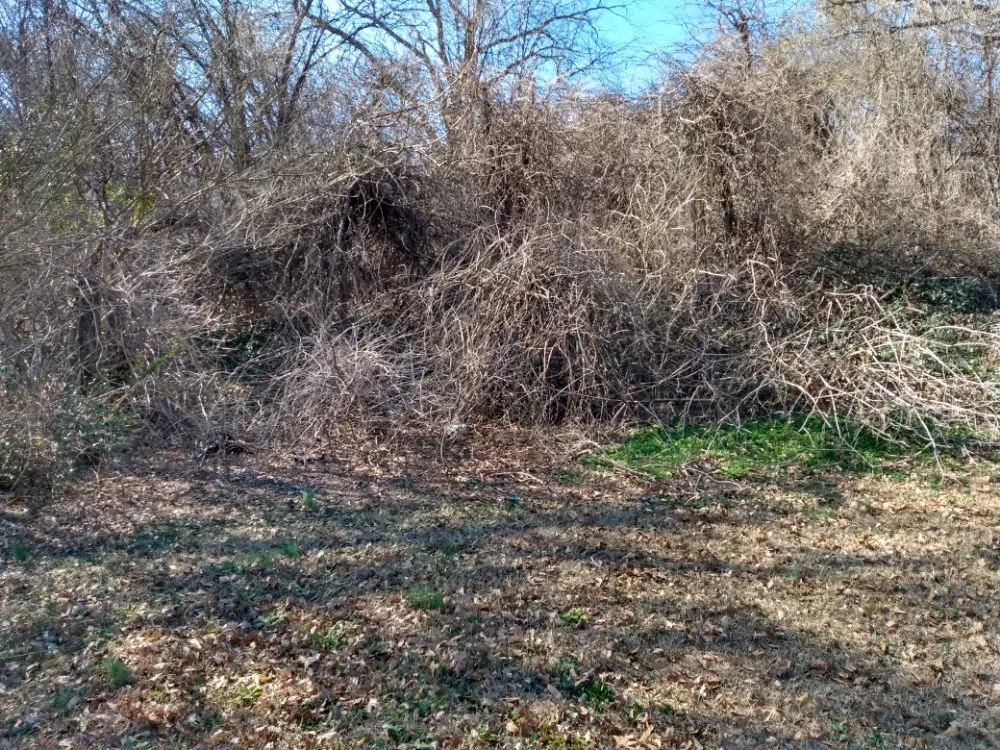 Custom yard maintenance in Covington, GA - Smart Lawn and Landscape Solutions