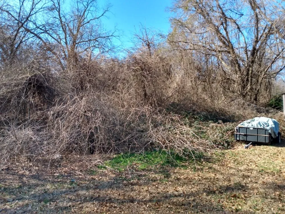 Trusted outdoor landscaping for year-round maintenance across Covington, GA - Smart Lawn and Landscape Solutions