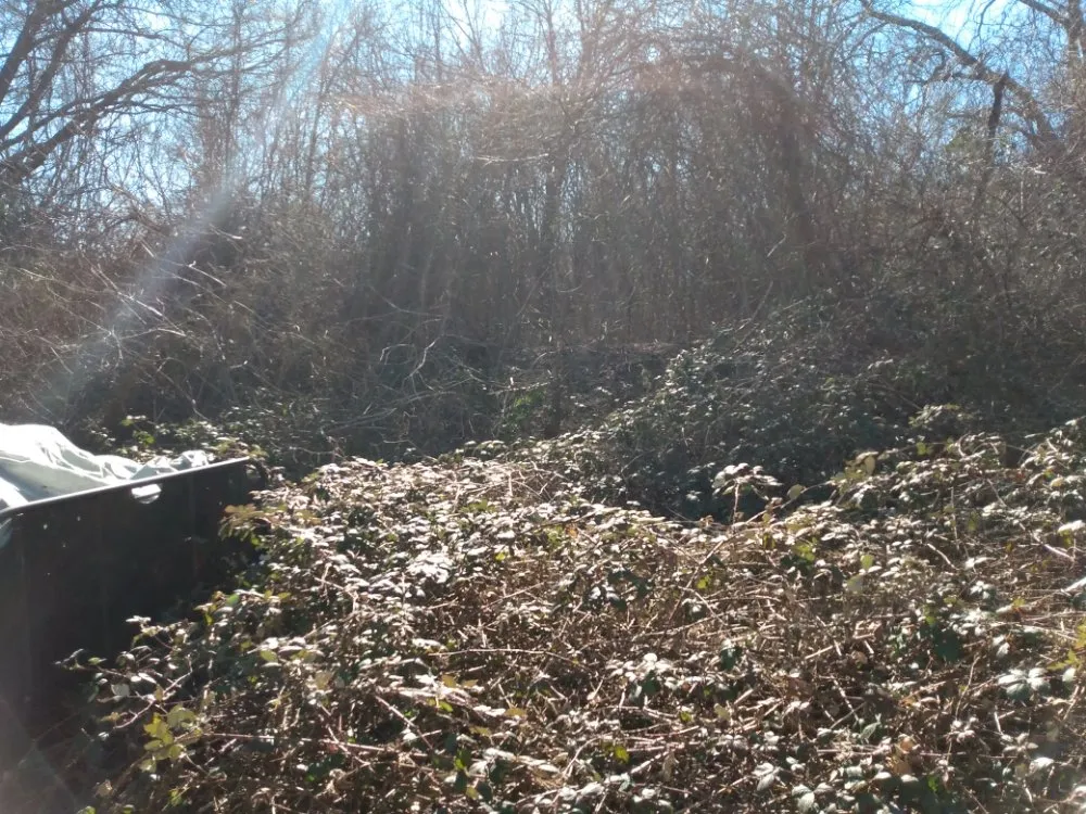 Expert garden landscaping for outdoor upgrades across Covington, GA - Smart Lawn and Landscape Solutions