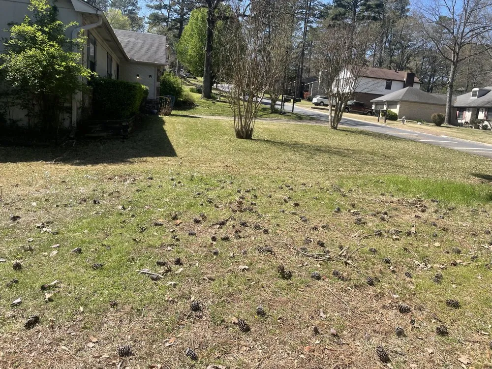 Expert residential landscaping in Little Rock, AR by Smart Lawn Care