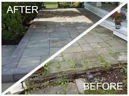 Custom yard maintenance experts serving Marina, CA - Smart Lawn