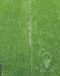 Top-rated yard maintenance for residential properties across Marina, CA - Smart Lawn