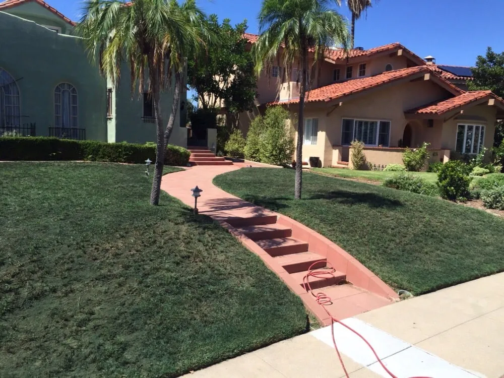 Professional landscape design in San Diego, CA - Smart Lawn Painting