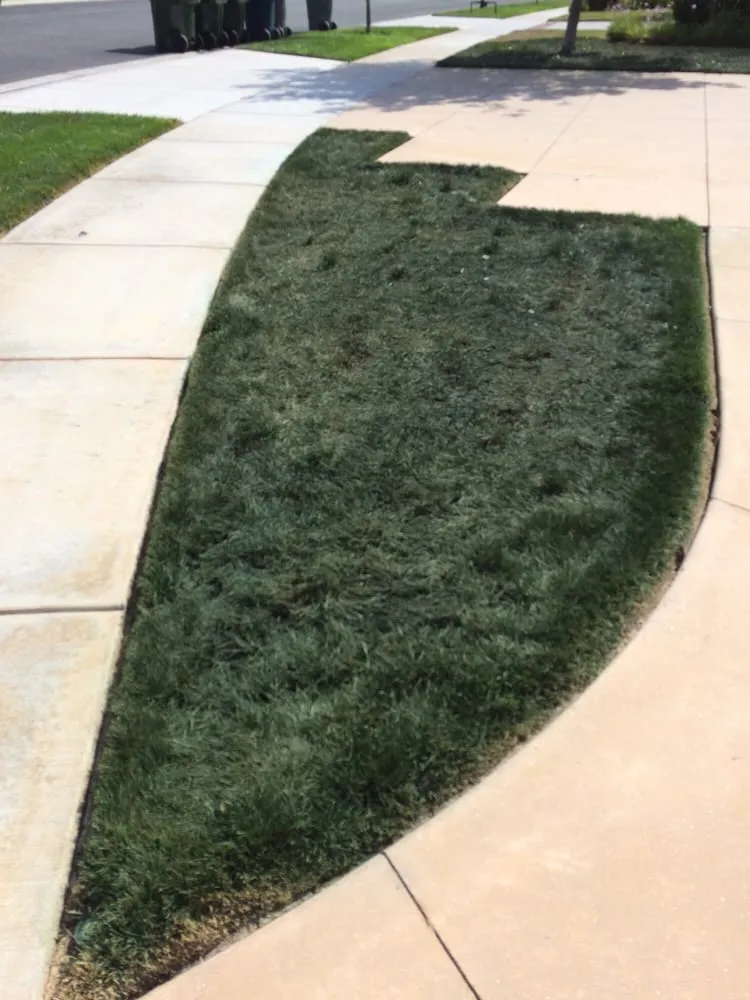 Professional garden landscaping with custom design across San Diego, CA - Smart Lawn Painting