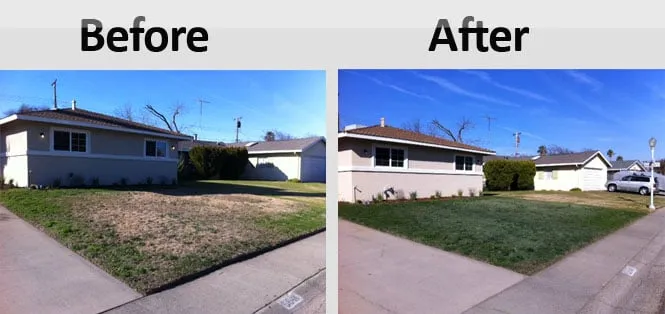 Trusted yard cleanup service with custom design in San Diego, CA by Smart Lawn Painting