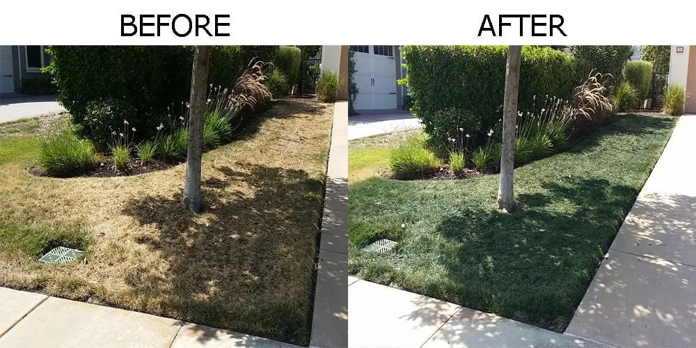 Custom lawn care service for residential properties in San Diego, CA by Smart Lawn Painting