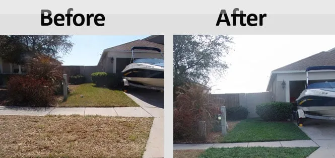 Affordable landscape installation for outdoor upgrades in San Diego, CA by Smart Lawn Painting