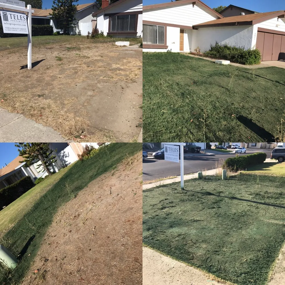 Expert landscape installation for outdoor upgrades in San Diego, CA by Smart Lawn Painting