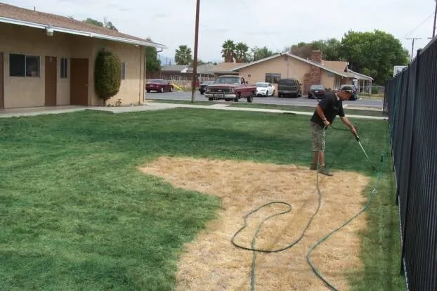 Local lawn mowing service in San Diego, CA - Smart Lawn Painting