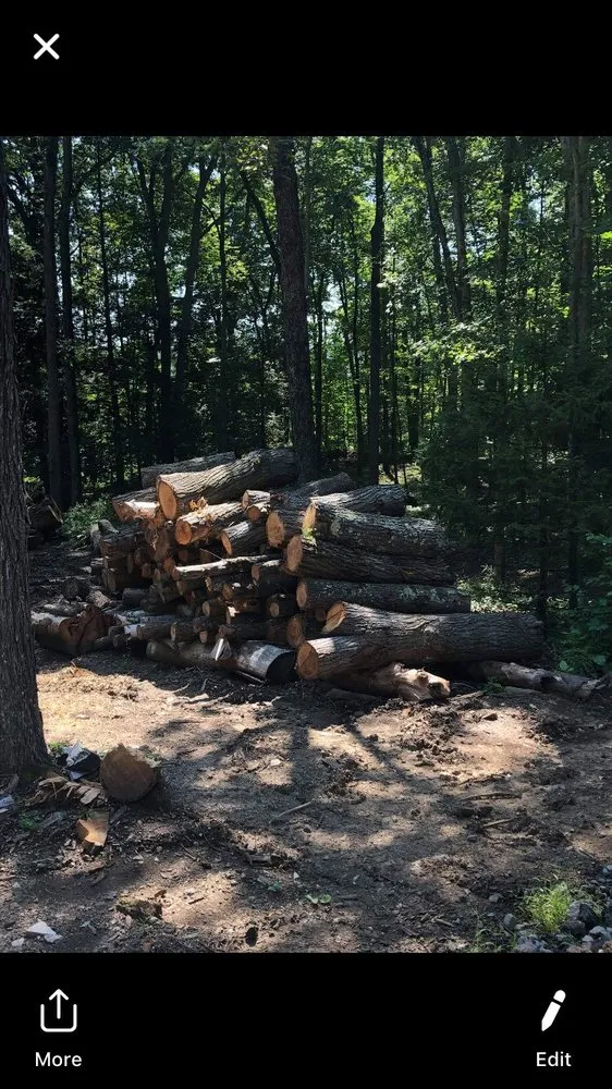 Professional yard cleanup service in Plymouth, CT - Smart property maintenance