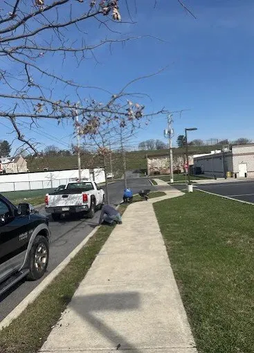 Custom lawn care service for homes in Breinigsville, PA by Smart Property Management