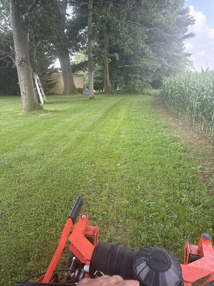 Affordable yard cleanup service for outdoor upgrades in Breinigsville, PA by Smart Property Management