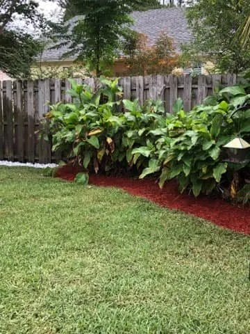 Trusted lawn mowing service experts serving Callahan, FL - Smart Quality Lawn Care