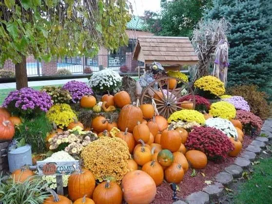 Professional garden landscaping in Olmsted Falls, OH by Smart Scapes Landscaping