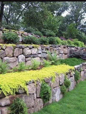 Trusted yard maintenance experts serving Whitsett, NC - Smart Scapes