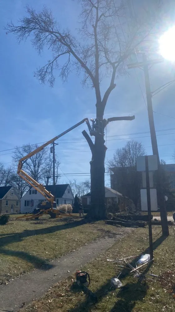 Reliable landscape design for beautiful yards in Milford, OH by Smart Solutions Construction