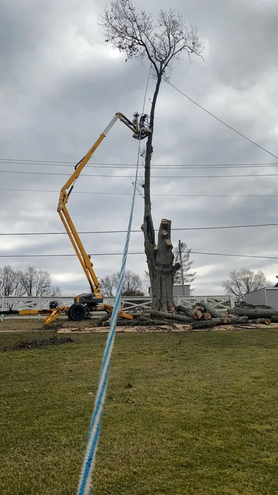 Expert residential landscaping for homes in Milford, OH by Smart Solutions Construction