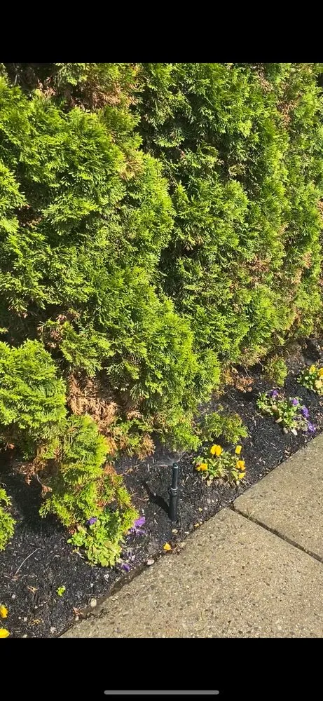 Expert landscape design experts serving Staten Island, NY - Smart Sprinklers