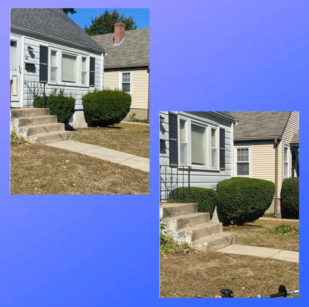 Trusted yard cleanup service in Waltham, MA by Smart