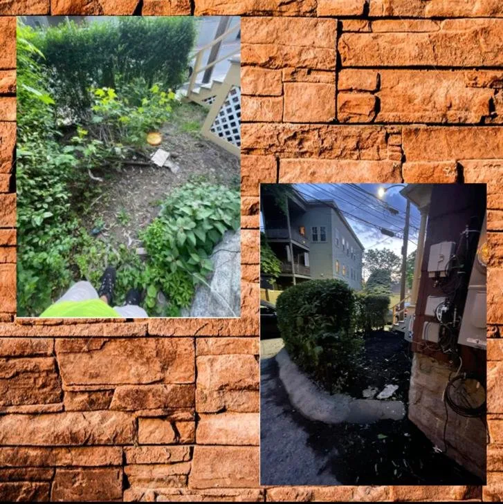 Reliable yard cleanup service in Waltham, MA - Smart