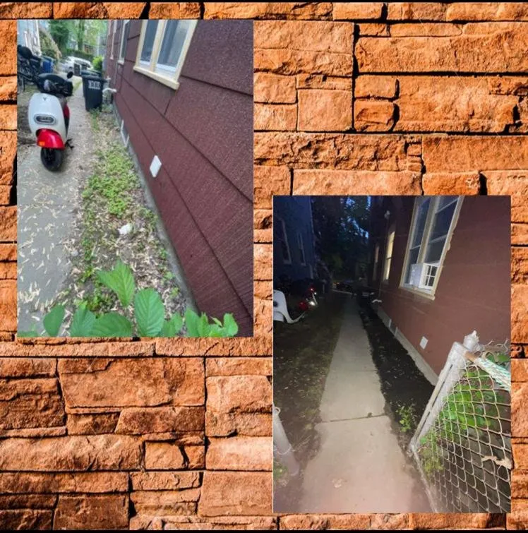 Affordable yard cleanup service experts serving Waltham, MA - Smart