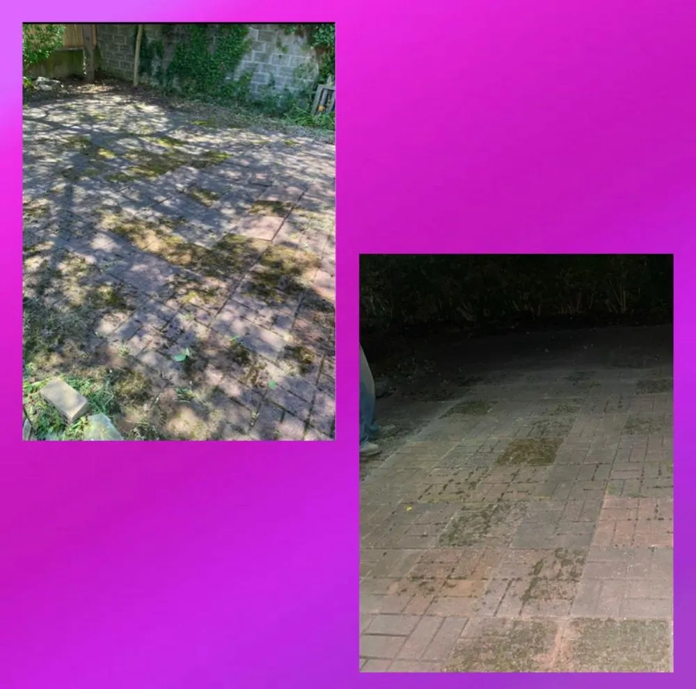 Local residential landscaping experts serving Waltham, MA - Smart