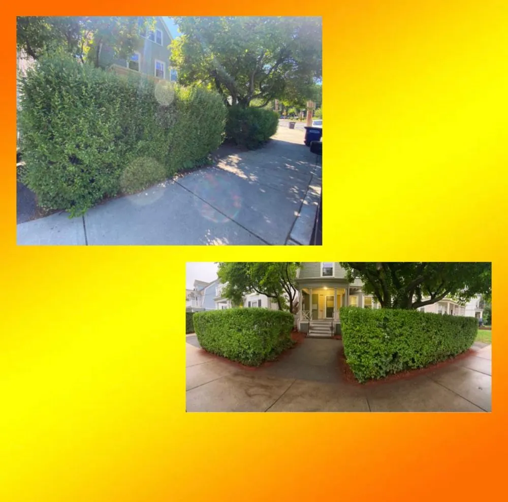 Reliable landscaping services in Waltham, MA - Smart