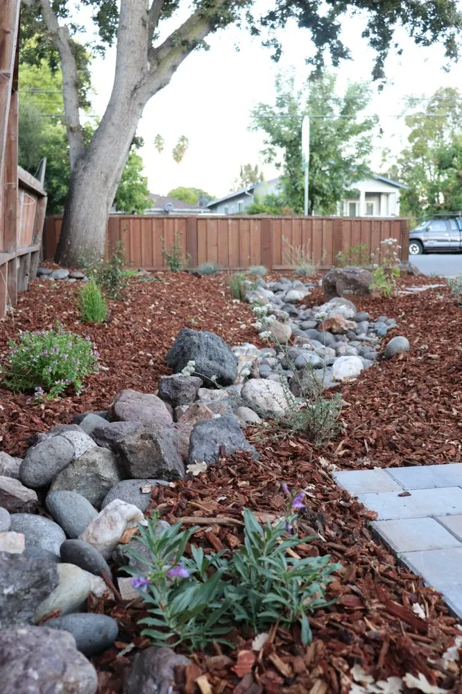 Top-rated yard maintenance for residential properties in San Jose, CA by Smart Yards Co-op