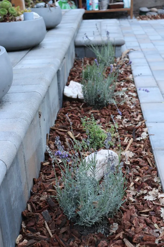 Professional garden landscaping experts serving San Jose, CA - Smart Yards Co-op