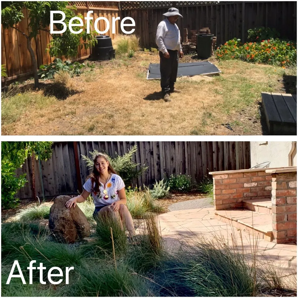 Reliable landscape design experts serving San Jose, CA - Smart Yards Co-op