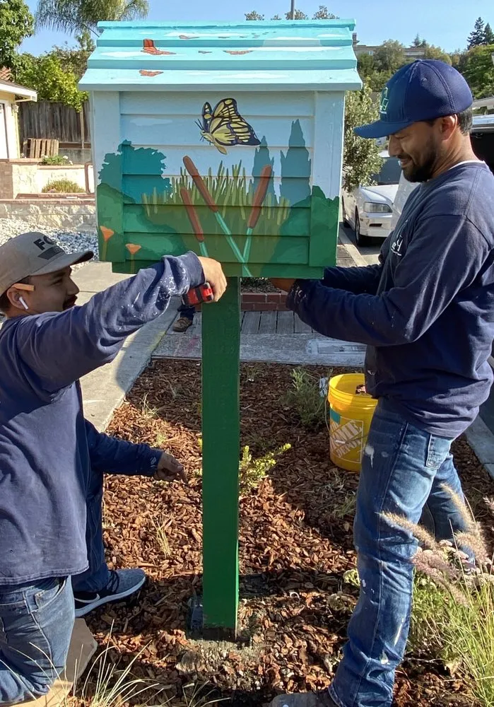 Trusted landscaping services for year-round maintenance across San Jose, CA - Smart Yards Co-op