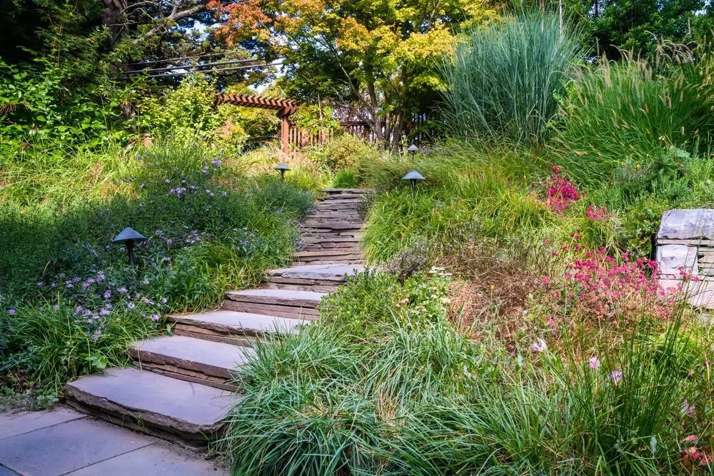 Local garden landscaping in San Jose, CA - Smart Yards Co-op