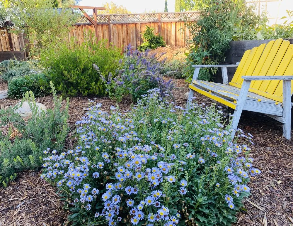Custom garden landscaping in San Jose, CA - Smart Yards Co-op