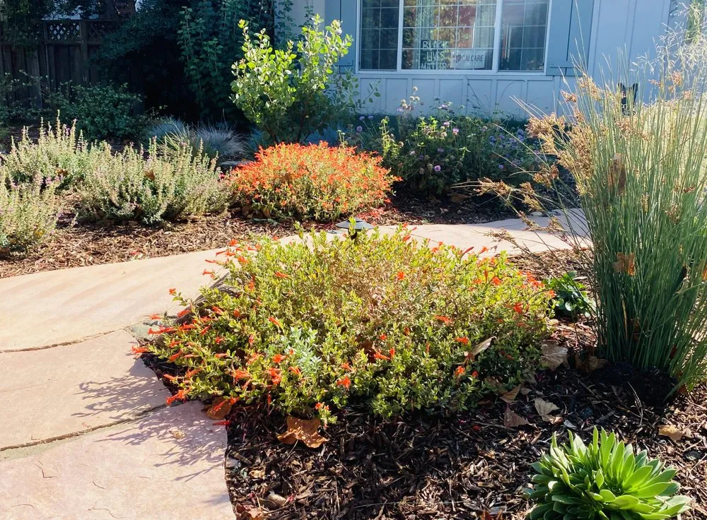 Trusted lawn mowing service with custom design across San Jose, CA - Smart Yards Co-op