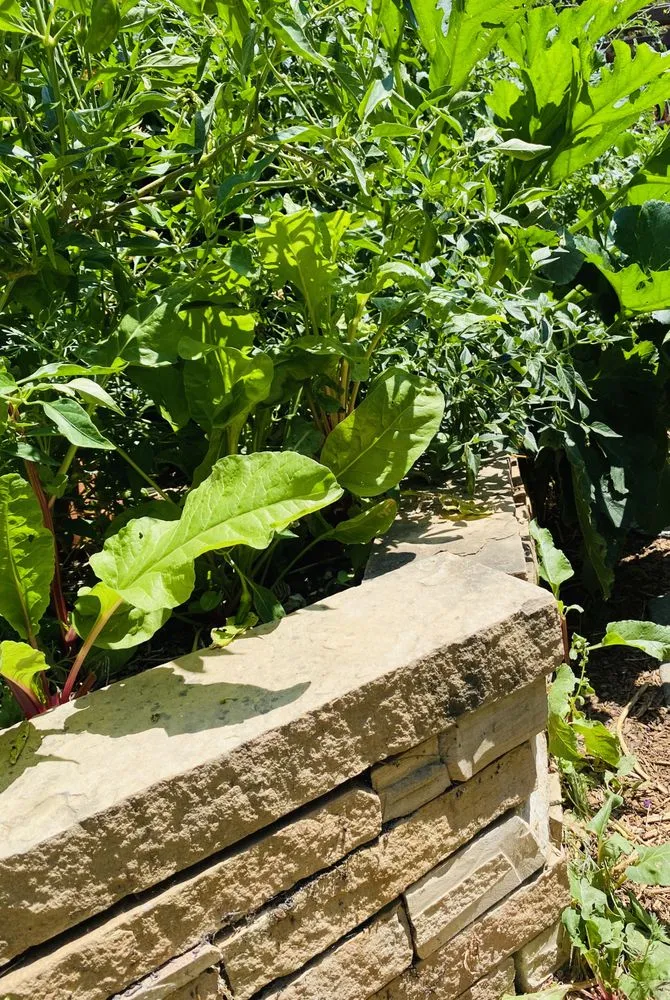 Reliable landscape design for year-round maintenance across San Jose, CA - Smart Yards Co-op