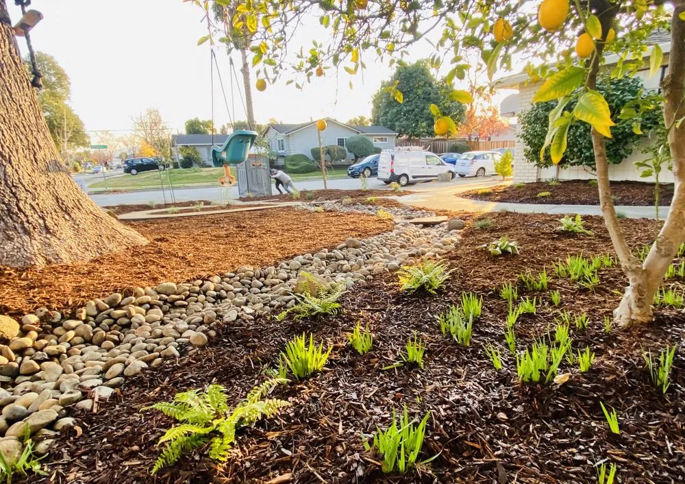 Local garden landscaping for homes in San Jose, CA by Smart Yards Co-op
