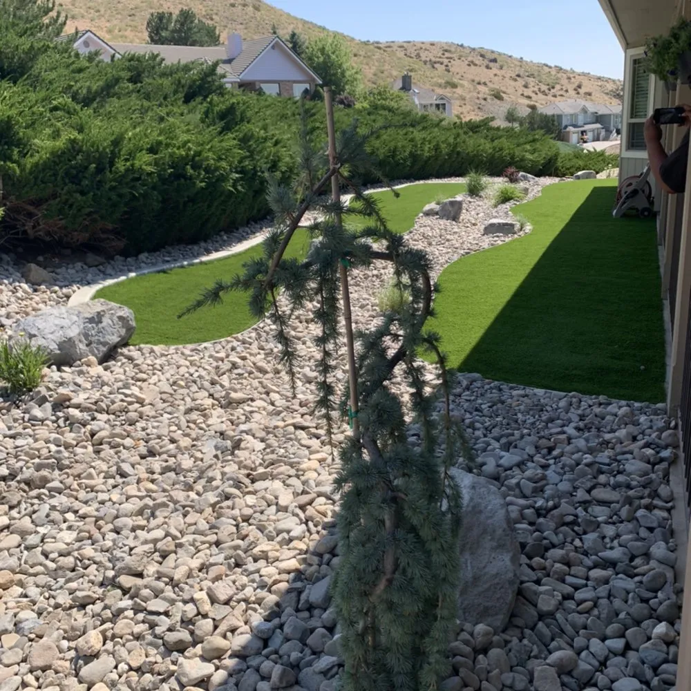 Top-rated yard cleanup service for homes in Carson City, NV by SmartScape