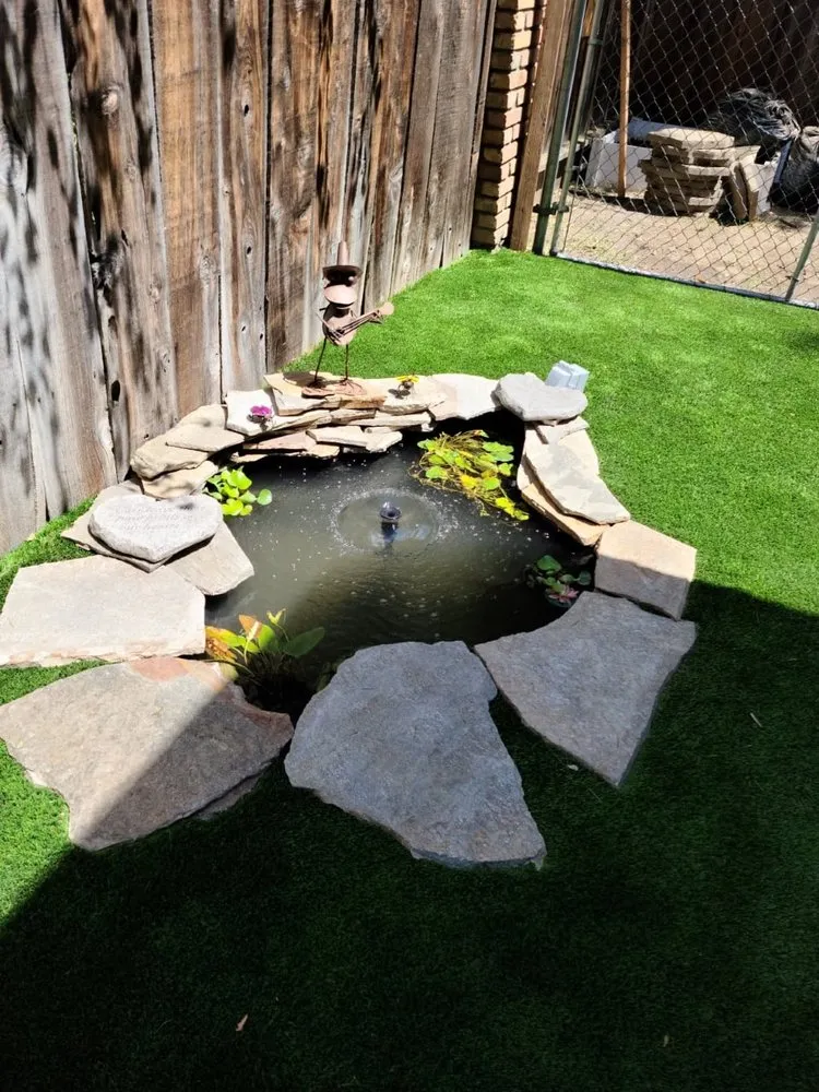 Top-rated landscape design for beautiful yards across Carson City, NV - SmartScape