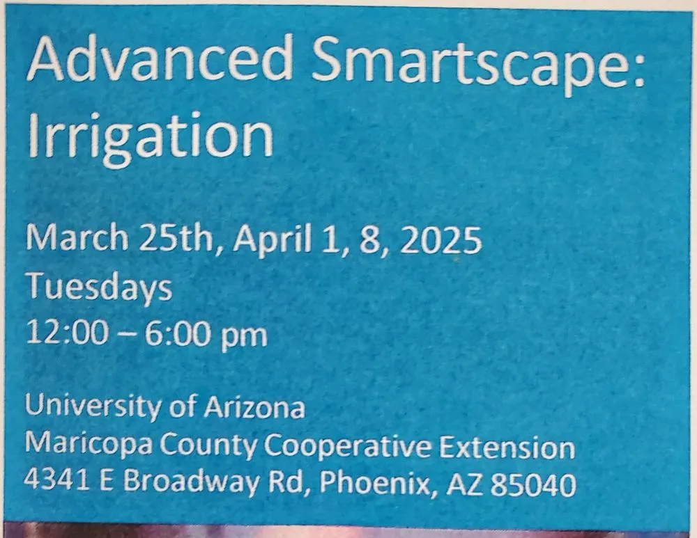 Top-rated yard cleanup service for outdoor upgrades in Phoenix, AZ by Smartscape