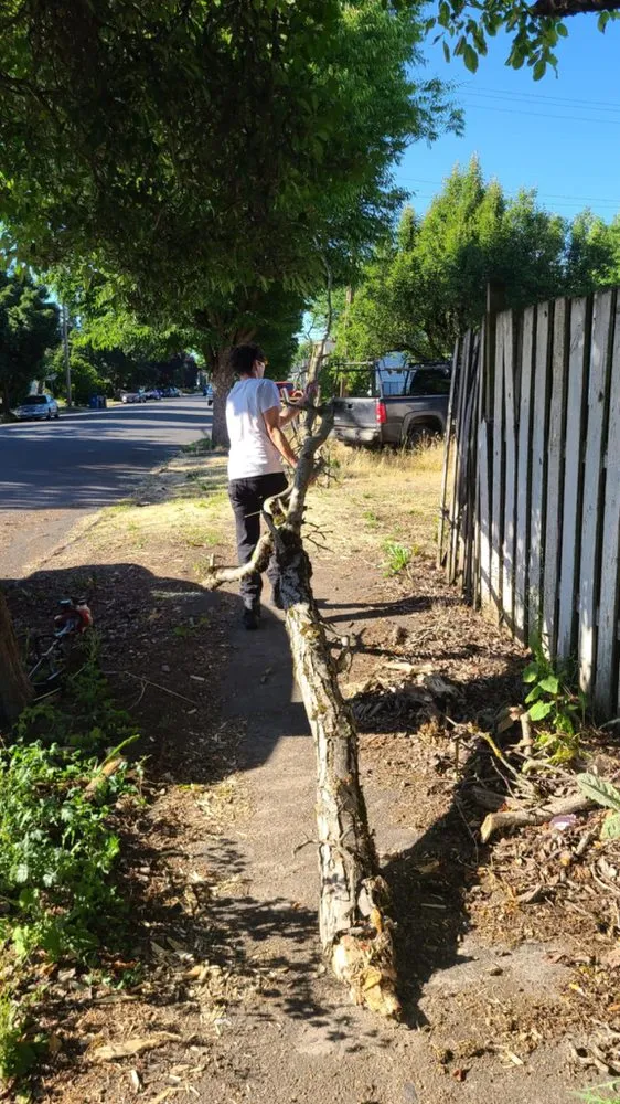 Local lawn care service with custom design in Salem, OR by SmartScape Solutions