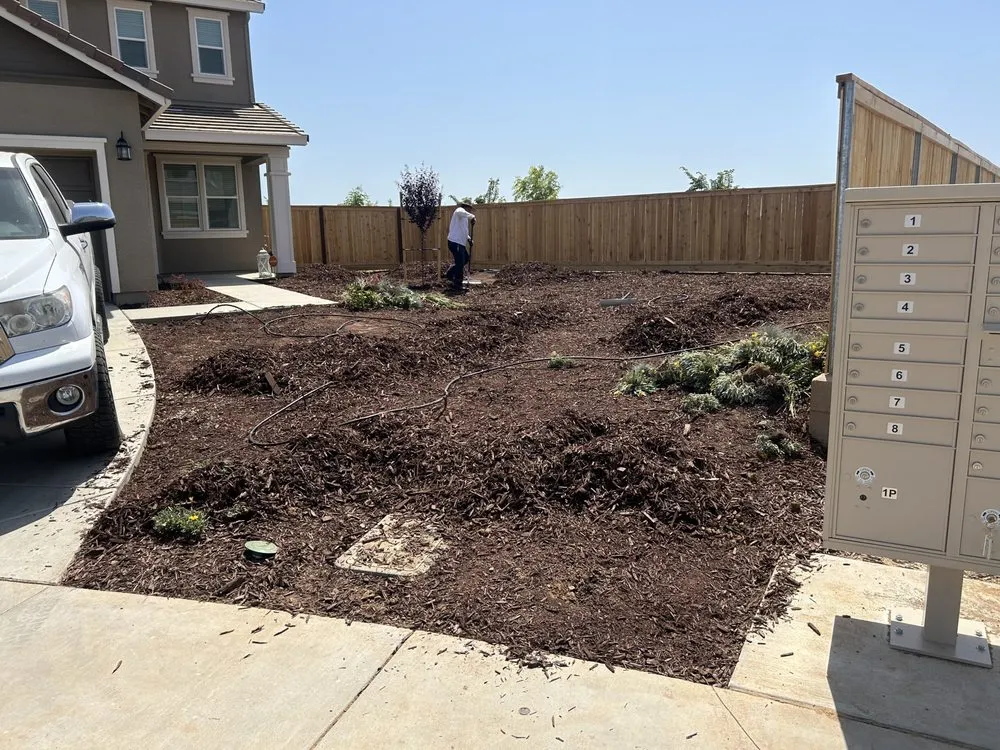 Affordable lawn care service experts serving Lincoln, CA - Smartscape Turf Innovations