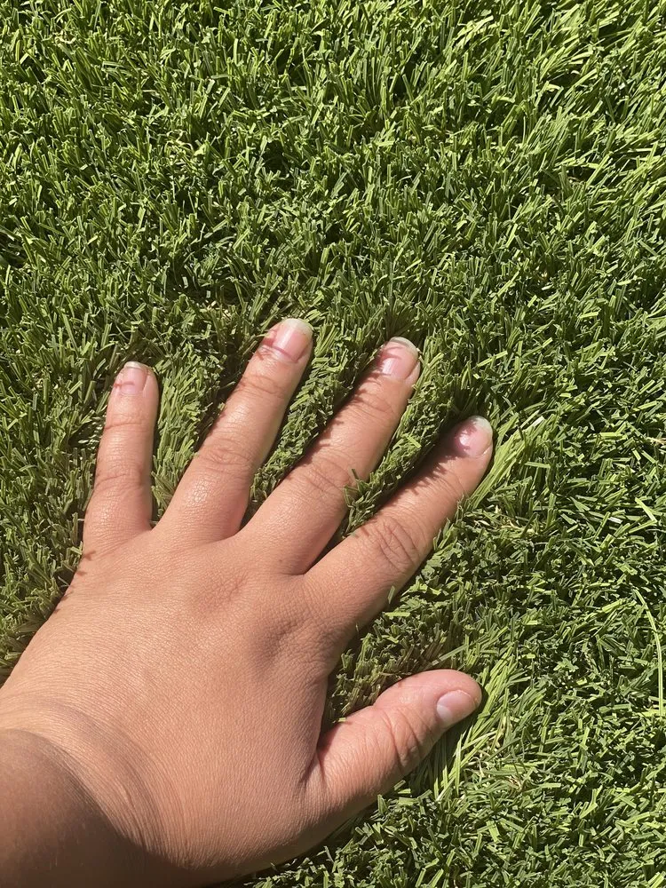 Expert landscape design experts serving Lincoln, CA - Smartscape Turf Innovations