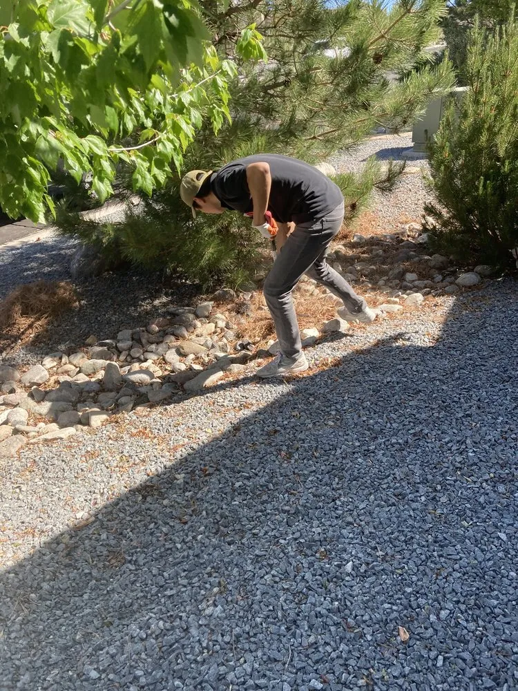 Local outdoor landscaping in Reno, NV - Smartscapes Landscaping