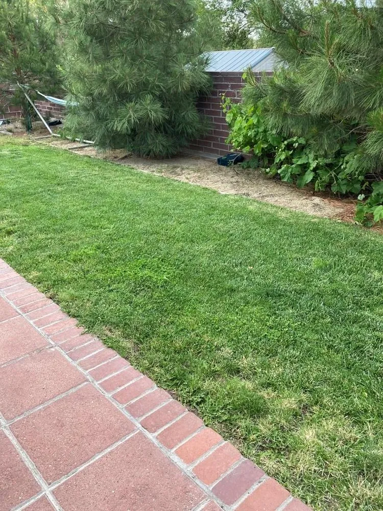 Trusted outdoor landscaping near you in Reno, NV by Smartscapes Landscaping