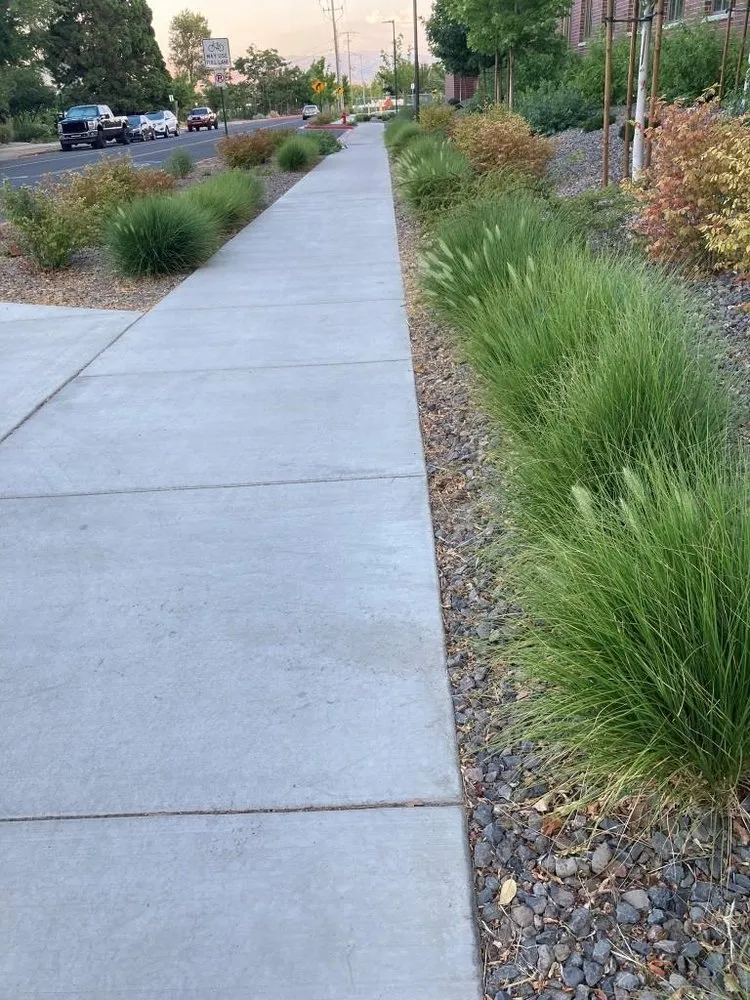 Custom yard cleanup service with custom design across Reno, NV - Smartscapes Landscaping