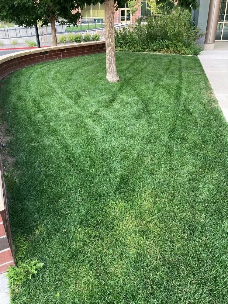 Top-rated landscape installation with custom design across Reno, NV - Smartscapes Landscaping